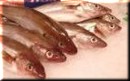 Iode Poissons