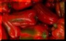 Slnium Poivrons rouges